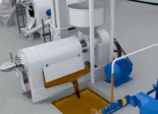 XDEM Palm Kernel Shell Peeling Crushing Oil Press Machine Automatic Palm Nut Cracking And Separating System Mesin Penghancur Minyak Minyak Minyak Minyak Minyak