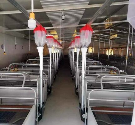 Livestock Fattening Feed Line Fully Automatic Feeding Line Equipment Livestock Equipment Manufacturer