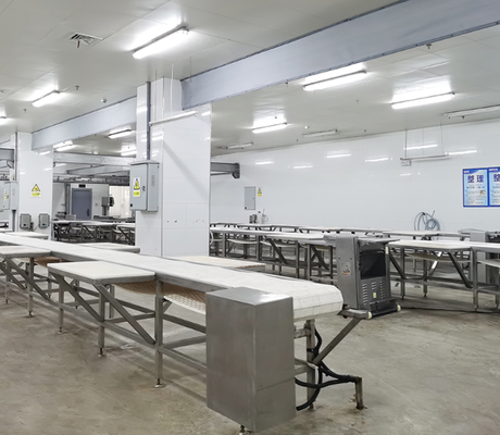 Slaughtering Equipment Stainless Steel PLC Control Automatic Conveying Slaughter Line For Efficient Animal Meat Processing CE Certified