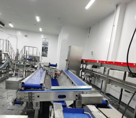 Slaughtering Equipment Stainless Steel PLC Control Automatic Conveying Slaughter Line For Efficient Animal Meat Processing CE Certified