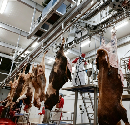 Peralatan pembantaian baja tahan karat dengan kontrol PLC dan standar GB untuk pengolahan daging yang efisien